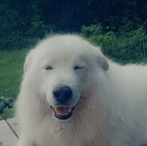 Meet your Posher, Sue